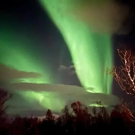 Appartement 3 Bedroom - Free Parking *