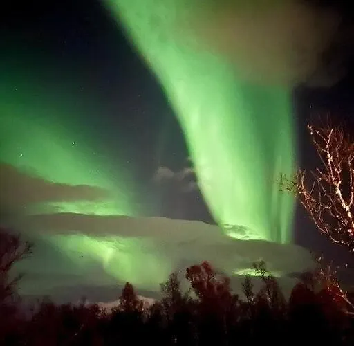 Apartamento 3 Bedroom - Free Parking *